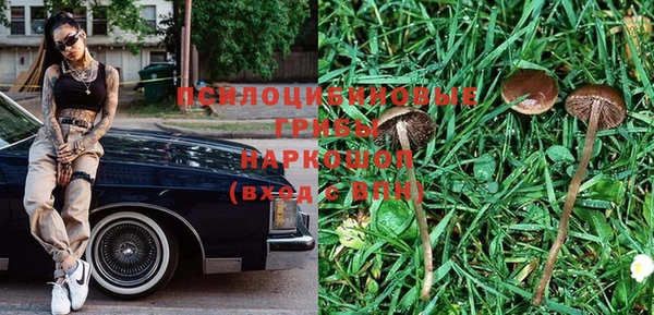 мдпв Покровск