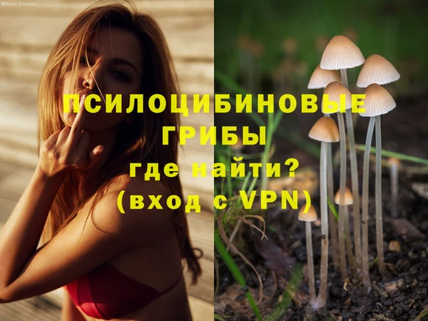 молекула духа Покачи