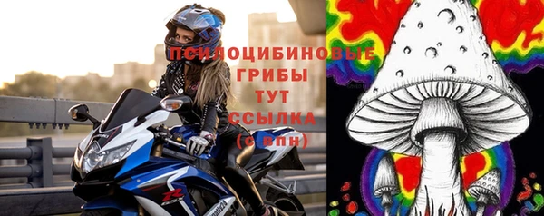 мдпв Покровск