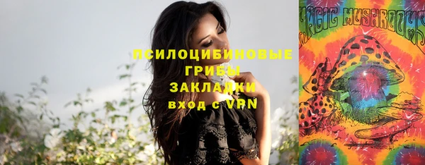 молекула духа Покачи