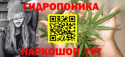гидра Усть-Джегута
