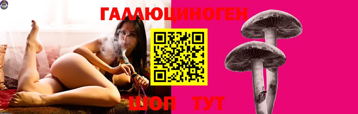 Псилоцибиновые грибы Psilocybine cubensis Копейск